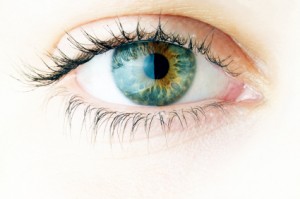 Michon Int eye